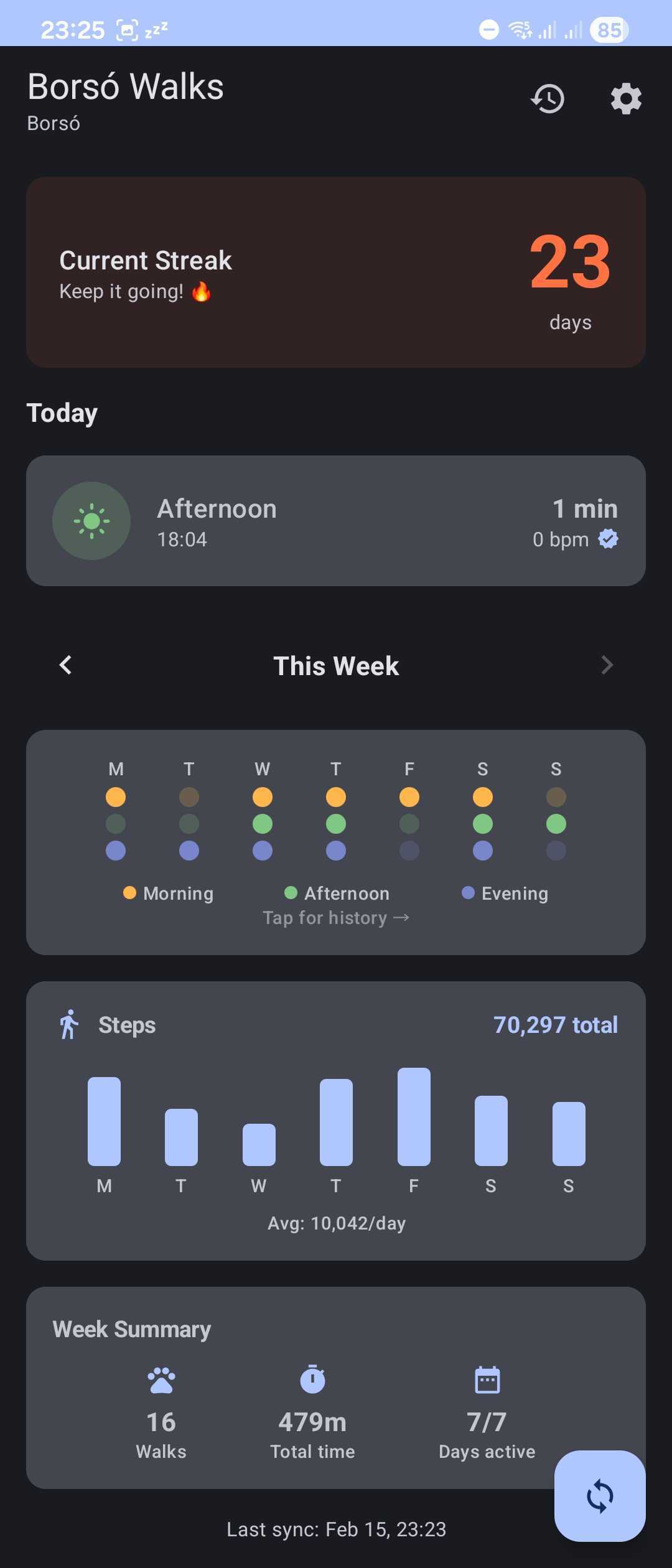 Borsó Walks Android App Dashboard
